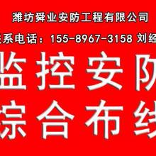 深耕果業沃土，科技引領未來——記榮成市果樹技術推廣站馬道分站的實踐與探索